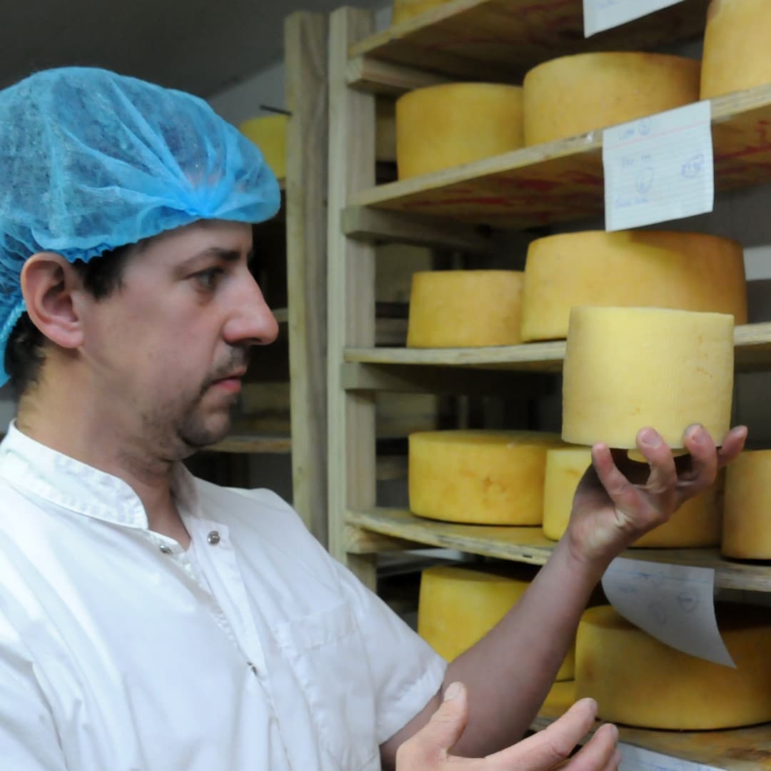 Proceso de curado y elaboración artesanal de queso