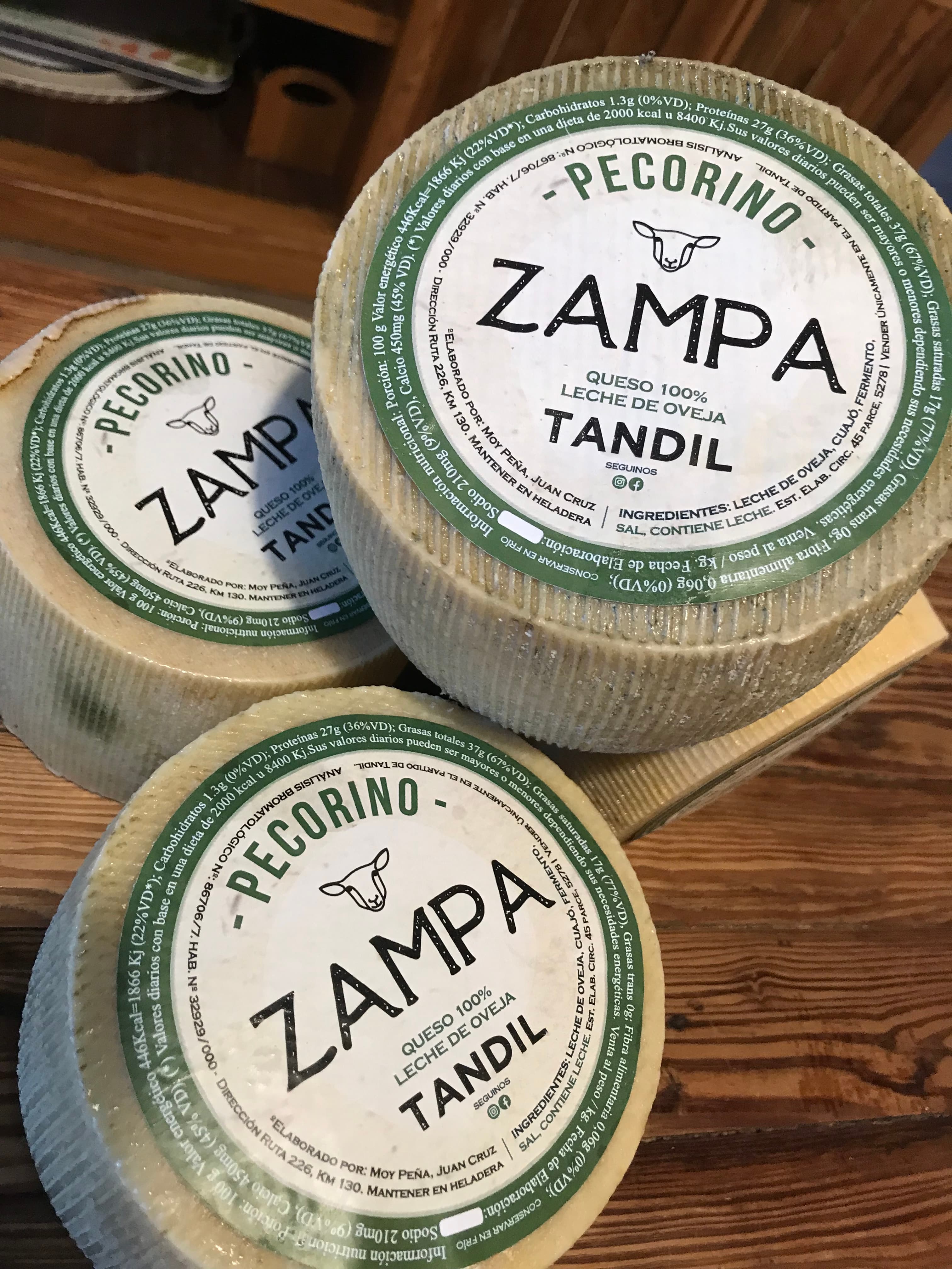 Zampa Instagram Post 4