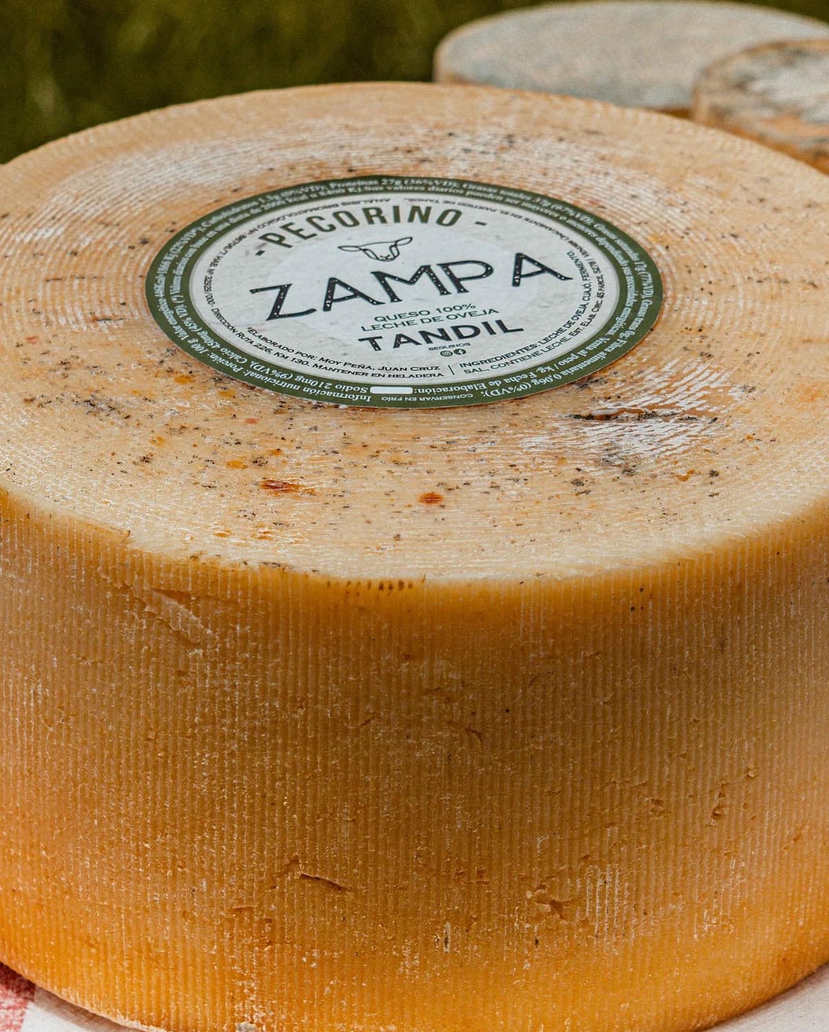 Fotografía del rebaño y pasturas de la quesería