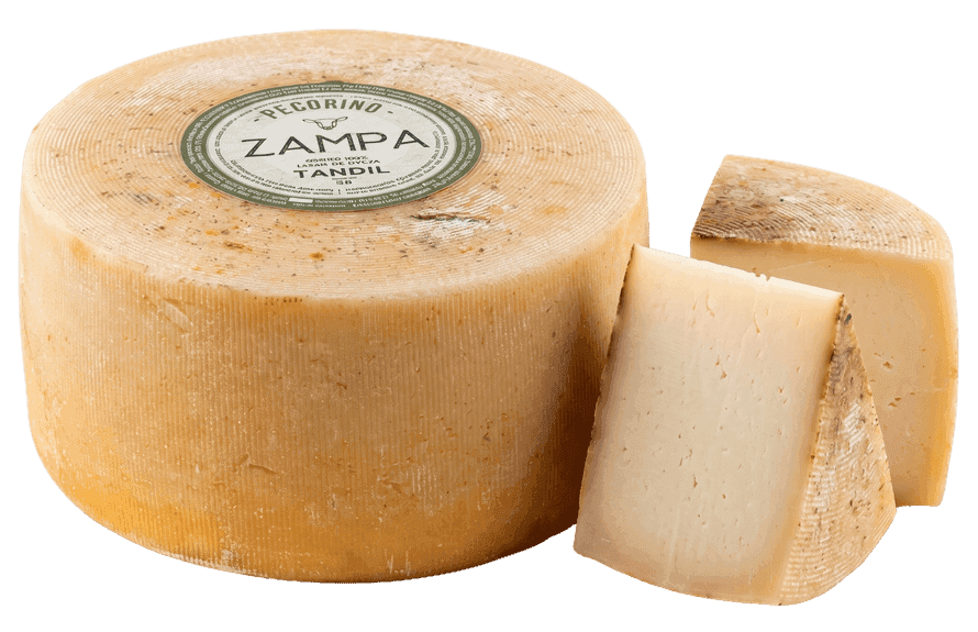 Queso Pecorino Zampa madurado rústico